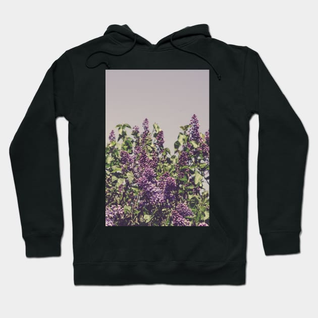 Wild Lilacs Hoodie by oliviastclaire